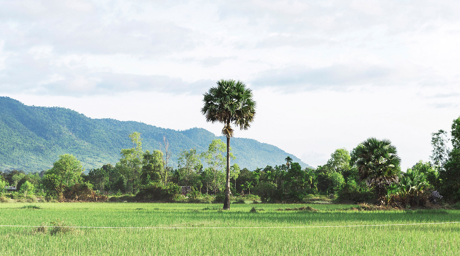 Kampot Cambodia Travel